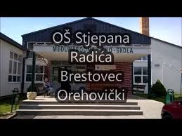 Škola